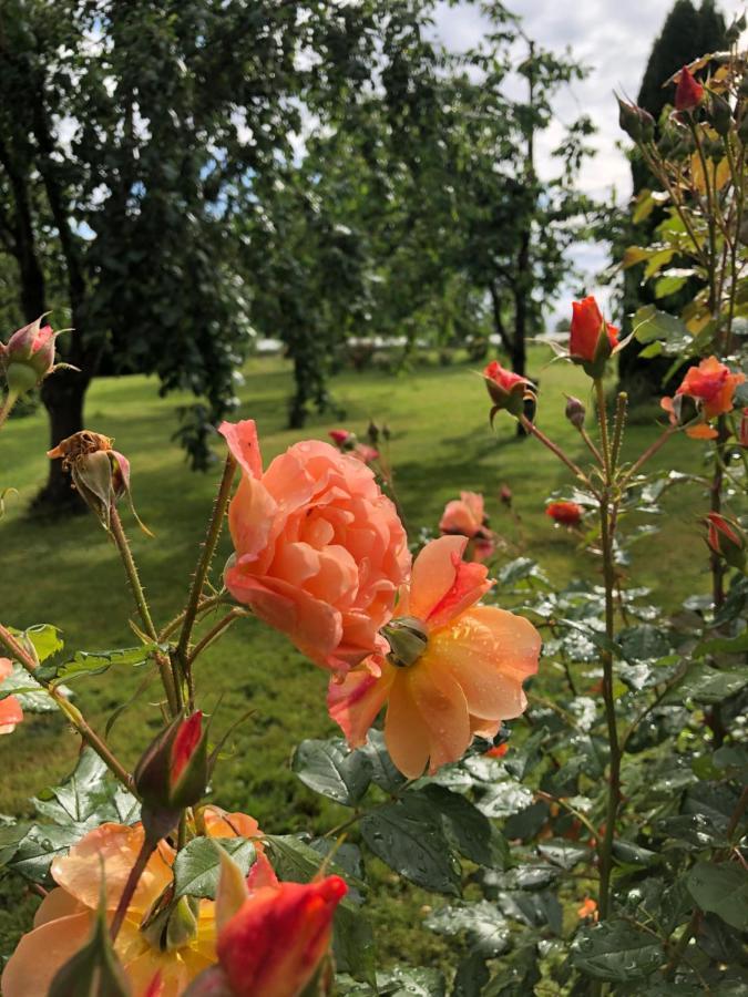 Wohlfuehlhotel Sonnengarten Uberlingen Extérieur photo